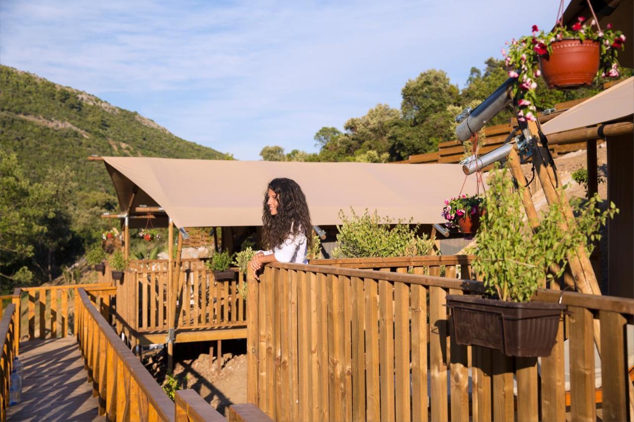 Sea Glamping Hotell Kotor Exteriör bild
