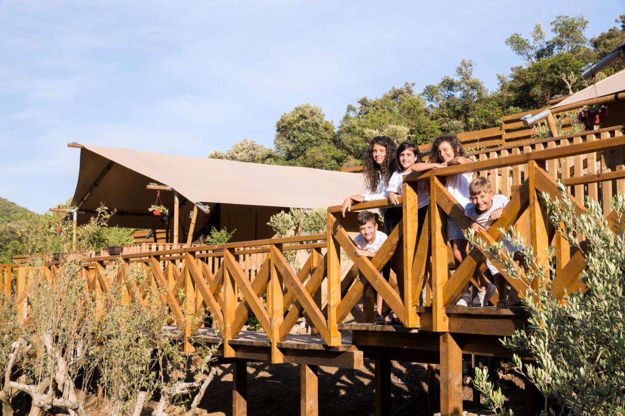 Sea Glamping Hotell Kotor Exteriör bild